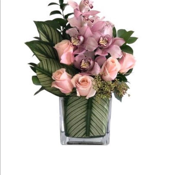 Meet your Posher, Hien - Picture 1 of 1